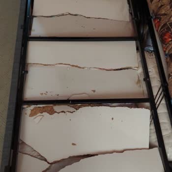 Kelebek Mobilya Baza Kırıldı Servis İlgisiz Ve Ücret Talep Ediyor