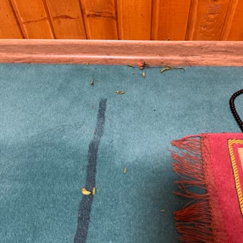 Kayseri Millet Bahçesi Temizlik Yönünden Aşırı Kötü!