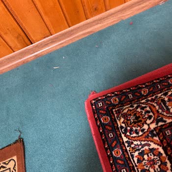 Kayseri Millet Bahçesi Temizlik Yönünden Aşırı Kötü!