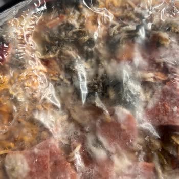 Getir Küflü ve Açık Kutuda Pizza Gönderildi, Hijyen Ve Kontrol Yok