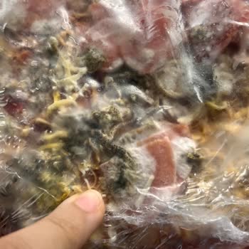 Getir Küflü ve Açık Kutuda Pizza Gönderildi, Hijyen Ve Kontrol Yok