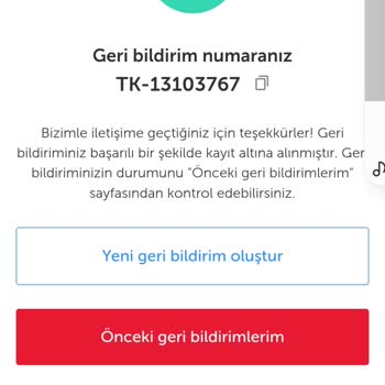 Online Check-in Sorunu Nedeniyle Yaşanan Mağduriyet Ve Ek Masraflar