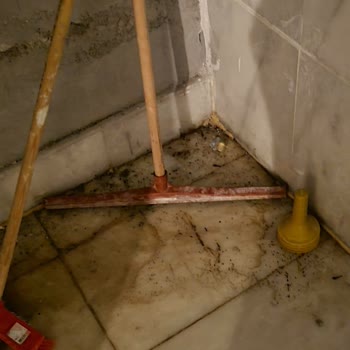 Prive Hotel Didim Pislik İçinde!