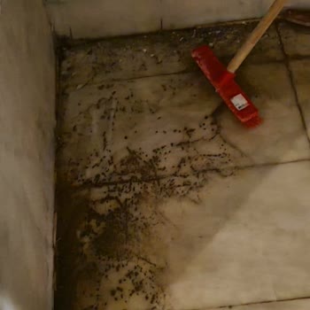 Prive Hotel Didim Pislik İçinde!