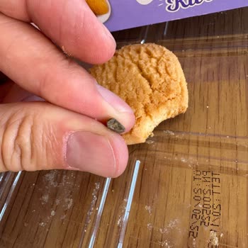 Lezzethane Süt Kaymaklı Kurabiyeden Taş Çıkması Ve Diş Kırılması