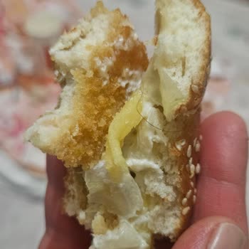 Burger King'den Aldığım Hamburgerde Kıl Çıkması Nedeniyle Hayal Kırıklığı