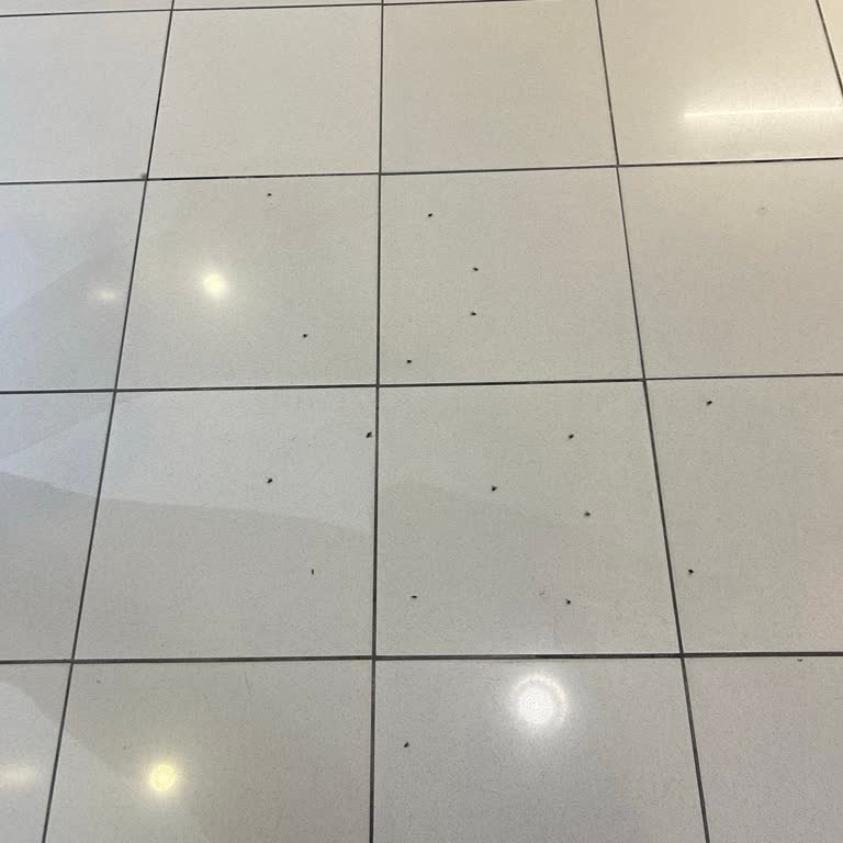 AVM’de Sinek Ve Hijyen Sorunlarıyla Boğuşmak