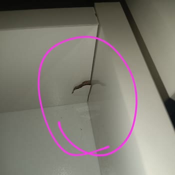 Aldığım Dolap Hasarlı Ve Eksik Hizmet Sunuldu