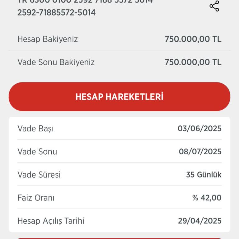 Vadeli Hesapta Faizli Tutarın Görünmemesi Sorunu