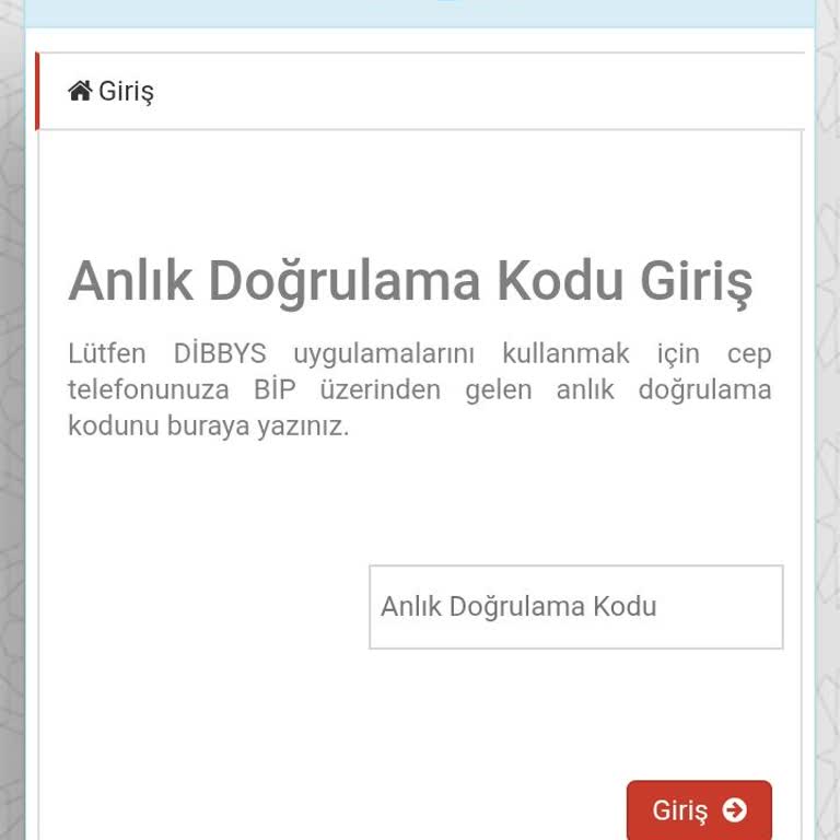 DİBYS Girişinde Anlık Doğrulama Kodu Sorunu