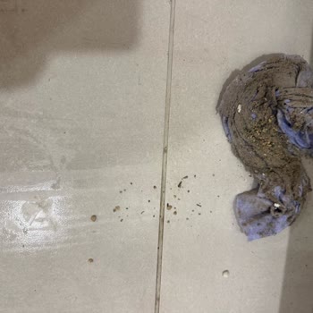 Evim Temizlik (Antalya) Temizlikten Anlamıyorlar ve Eve zarar Veriyorlar