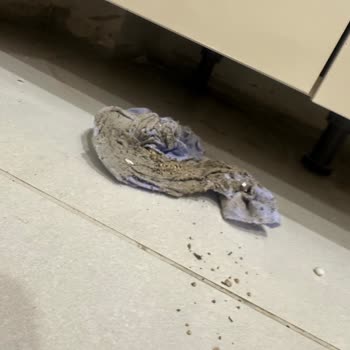 Evim Temizlik (Antalya) Temizlikten Anlamıyorlar ve Eve zarar Veriyorlar