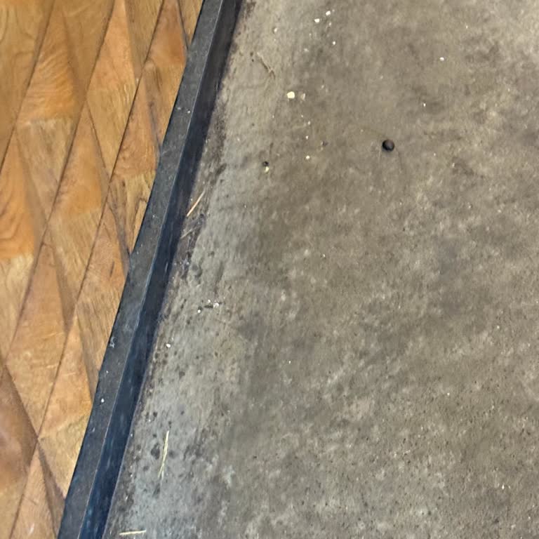 Starbucks Koşuyolu Şubesinde Sabah Hijyen Ve Temizlik Sorunu Yaşadım