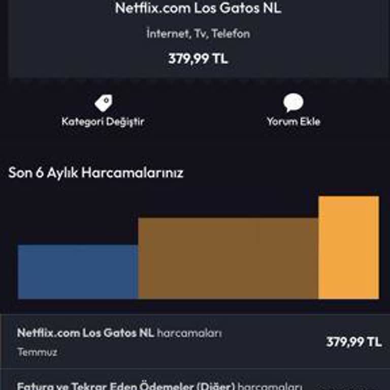 İzinsiz Alınan Netflix Ödemesi İçin Acil İade Talebi