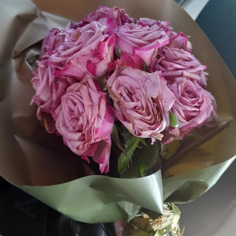 Çürük Ve Solmuş Çiçekle Mezuniyet Hayal Kırıklığı