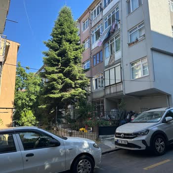 Türk Telekom Taşeronlarının Bina Dış Cephelerine İzinsiz Müdahalesi