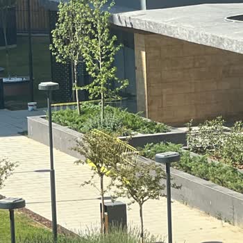 Sosyal İmkanların Açılmaması Ve Aidat Karşılığında Hizmet Eksikliği