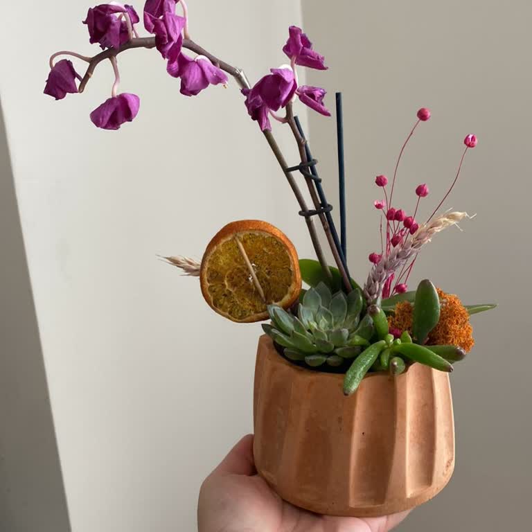 Çiçek Siparişim Kargoda Soldu, Hayal Kırıklığına Uğradım