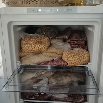 Beko 45 Günlük Derin Dondurucuda Soğutma Sorunu Ve Servis Tutarsızlığı