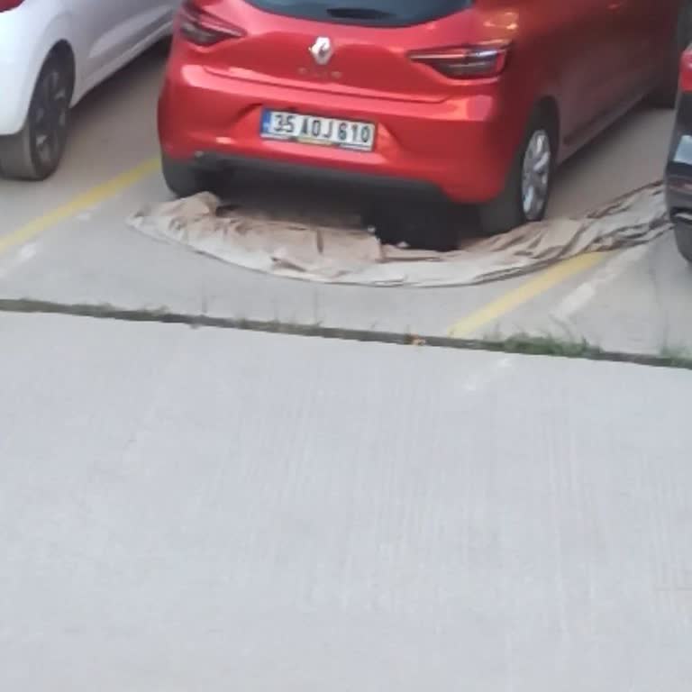 Yetkili Serviste Takılan Clio Multimedya Ekranı Güncellenmiyor Ve Destek Alamıyorum