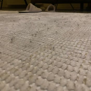 Kısa Sürede Yıpranan Halıya Mağazadan Beklenmedik Dönüş