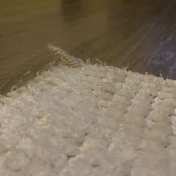 Kısa Sürede Yıpranan Halıya Mağazadan Beklenmedik Dönüş