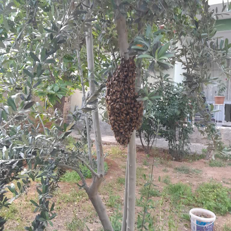 Gateio LoopUSDT монета исчезла с баланса – жду разъяснений и поддержки