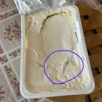 Labne Peynirde Küf ve Gıda Güvenliği Endişesi