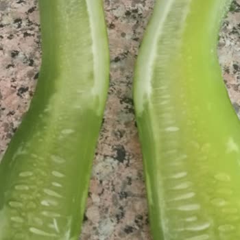 3 Aylık Arçelik Buzdolabı Sebzeleri Donduruyor, Çözüm Yok!