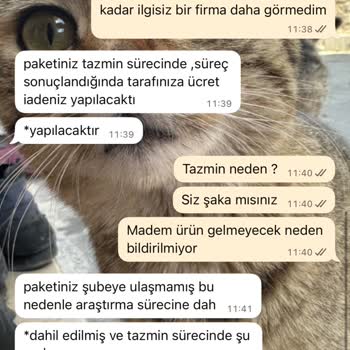 Kargo Teslimatında Yaşanan Gecikme Ve İletişim Sorunları