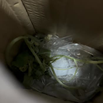 Trendyol Gardenbox Ölü Fide Göndermiş!