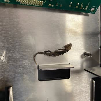 Arçelik Araç Şarj İstasyonu Garanti Dışı Bırakıldı: Kertenkele Gerekçesi