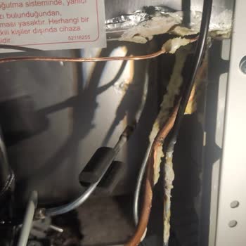 Regal Aldığım Derin Dondurucu Hasarlı Ve Eksik Geldi, Servis De Sorunu Çözmedi!