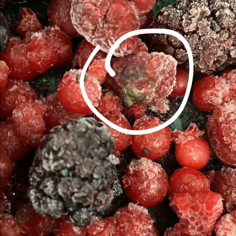 Aldığım Donmuş Orman Meyvelerinde Bozuk Ürün Sorunu Ve İletişim Eksikliği