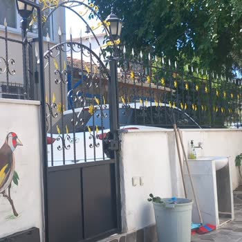 Permolit Parlak Yağlı Boyanın Mat Çıkması Ve Firma İlgisizliği