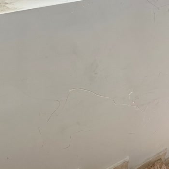 Üstüntaş Nakliyat Taşınma Sürecinde Yaşadığım Sorunlar Ve Memnuniyetsizlik