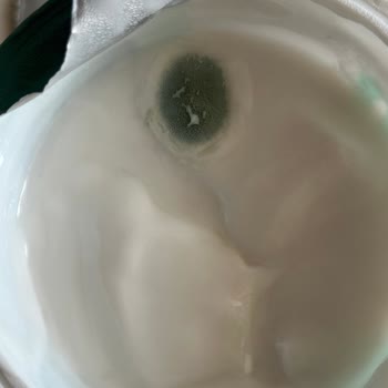 Son Kullanma Tarihi Geçmemiş Probiyotik Yoğurt Küflendi, Geri Dönüş Sağlanmadı