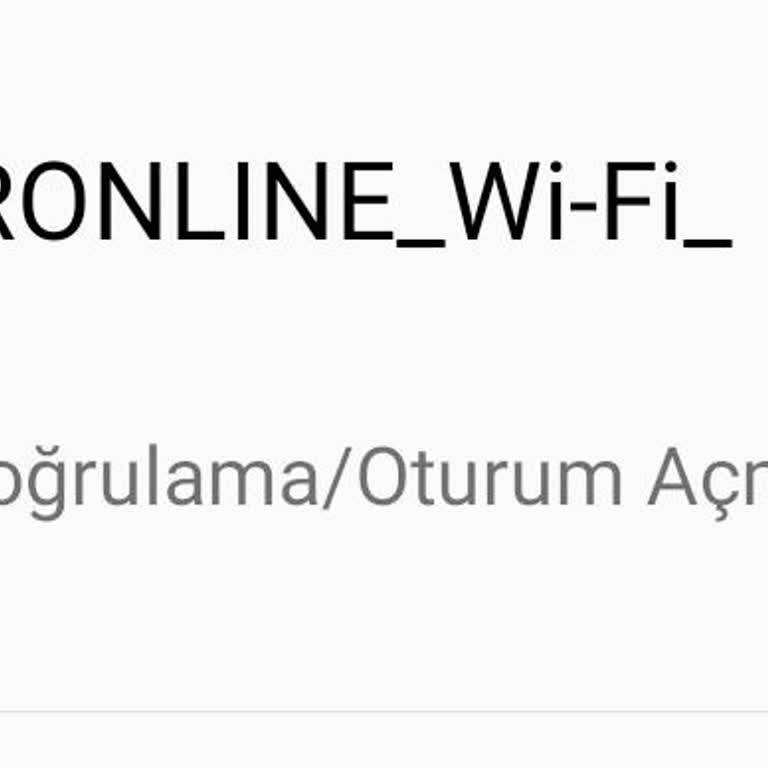 Netspeed Kurulumunda Yaşanan Erişim Ve Destek Sorunu
