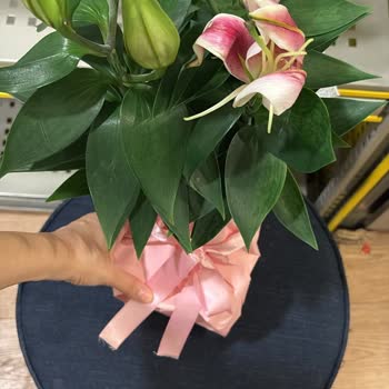 Siparişim Yanlış Ve Eksik Teslim Edildi, Müşteri Hizmetleri Sorunu Çözmedi