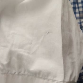 Gant Gömleklerde Yıkama Sonrası Yırtık Ve Delik Şoku