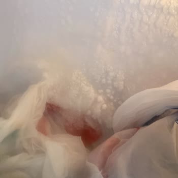 Buzdolabında Sürekli Kar Birikmesi Ve Sorunun Çözülmemesi