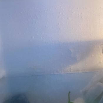 Buzdolabında Sürekli Kar Birikmesi Ve Sorunun Çözülmemesi