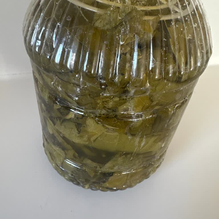 @yaprakk_salamura_manisa Yaprak Gösterdikleri Gibi Gelmedi