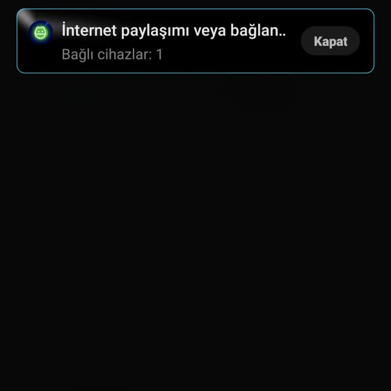 Otobüslerde Wi-Fi Eksikliği Yolcuları Mağdur Ediyor
