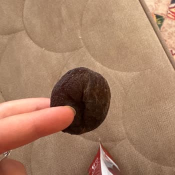 Carrefour SA'dan Aldığım Kayısı Kurtlu Ve Kokuyordu