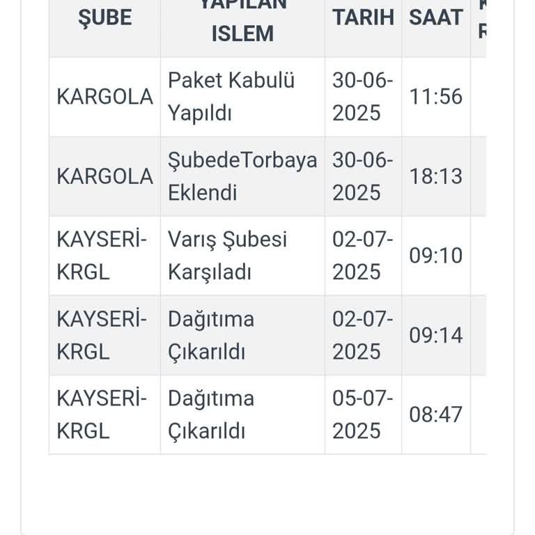 Kargo Teslimatında Yaşanan Gecikme Ve Hayal Kırıklığı
