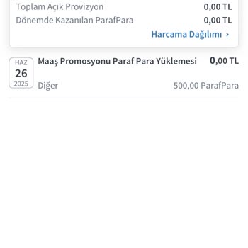 Tanımlanan ParafPara Kullanılamıyor, Mağazalarda Görünmüyor