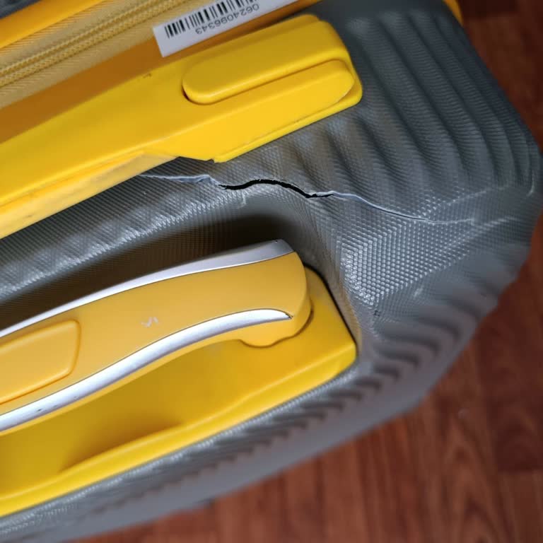 Pegasus Valiz Hasarı Sonrası Yetersiz Ve Sorunlu Tazminat Süreci