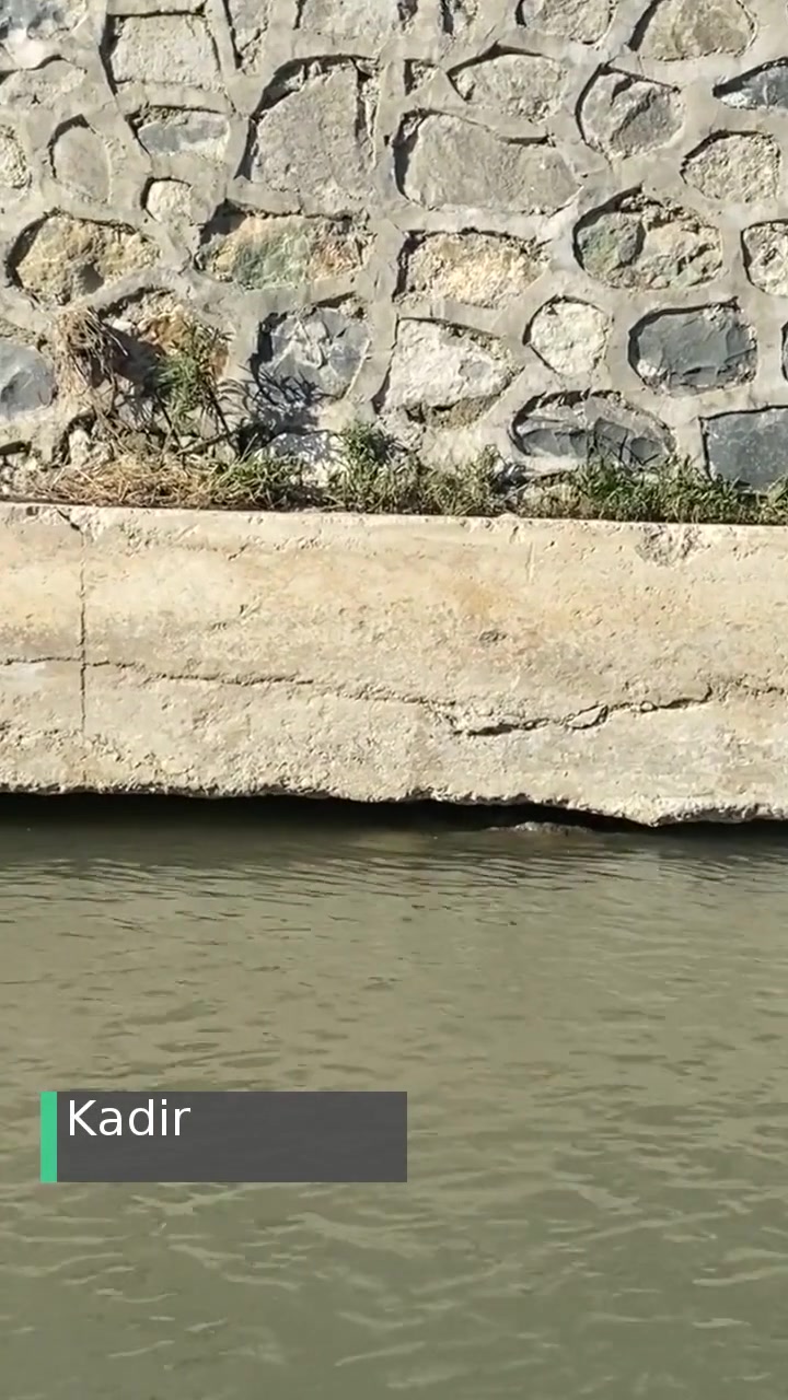 Ordu Devlet Su İşleri İlgisizliği videonun kapak resmi