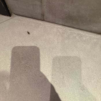 Çocuk Menüsü Ve Hijyen Sorunları Nedeniyle Hayal Kırıklığı